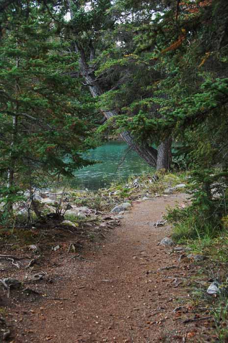 The Fairmont Park Ridge Lodge and Lac Beauvert